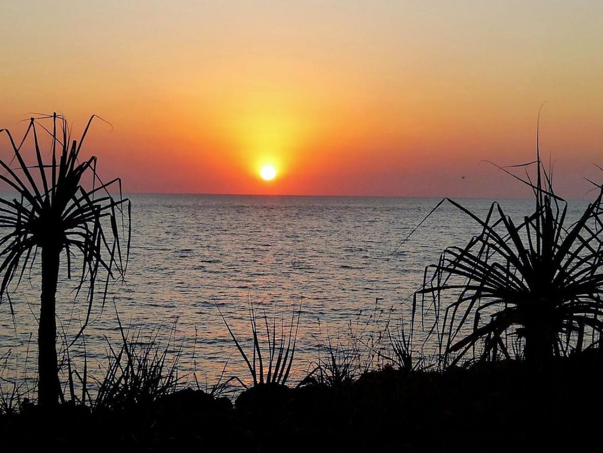 Dundee Beach Holiday Park Ngoại thất bức ảnh